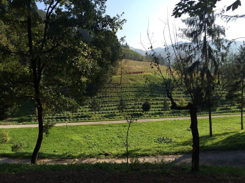 Casa Di Otello Monte San Giovanni  ภายนอก รูปภาพ